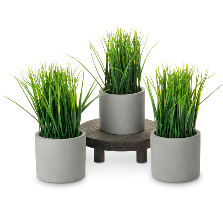 Primrue 3 Piece Artificial Evergreen Grass in Pot Set Wayfair